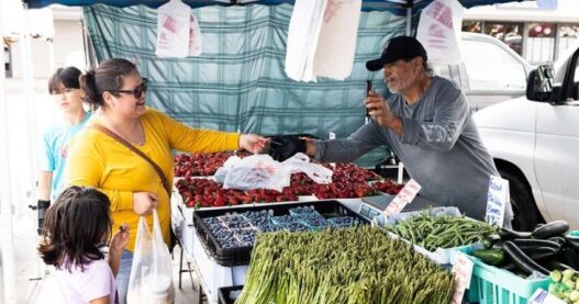 Deadline to replace stolen Food Stamp or SNAP benefits looms | New Mexico