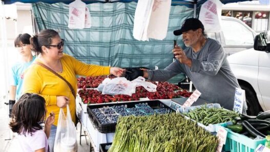 Deadline to replace stolen Food Stamp or SNAP benefits looms | New Mexico