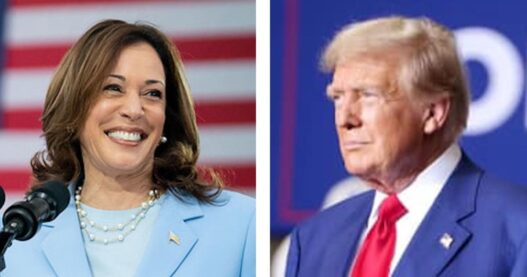 Latest polling: Trump, Harris statistically tied | National