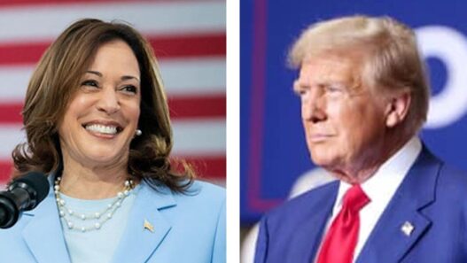 Latest polling: Trump, Harris statistically tied | National