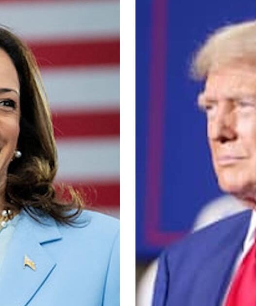 Latest polling: Trump, Harris statistically tied | National