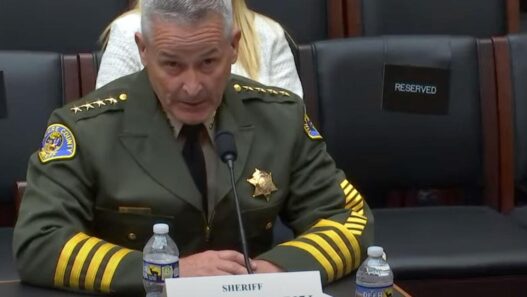 Sheriffs: 'California is an open territory for the cartel to do whatever it wants' | California