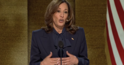 Border patrol faces subpoena threat for allegedly hiding Harris’ role as border czar | National