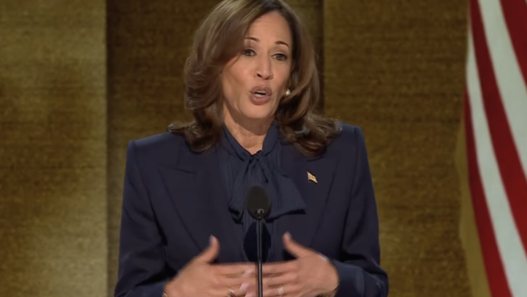 Border patrol faces subpoena threat for allegedly hiding Harris’ role as border czar | National