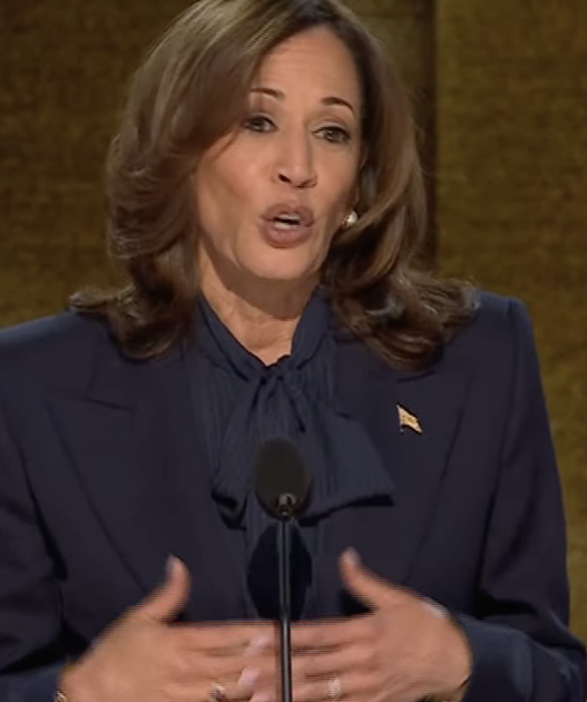 Border patrol faces subpoena threat for allegedly hiding Harris’ role as border czar | National