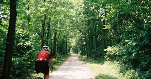 $11M in federal grants awarded for bike paths, public transit, traffic signals | Wisconsin