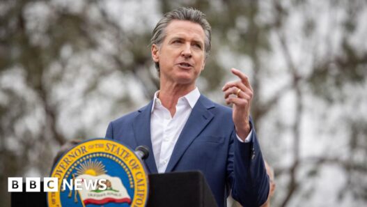 California governor Gavin Newsom vetoes landmark AI safety bill