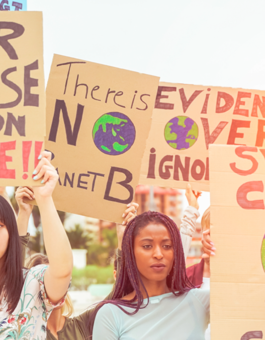 Climate Reactionaries and Green Colonialism — Minding The Campus