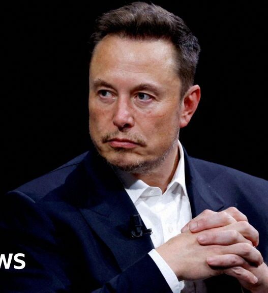 Court fines Musk website for site's brief return