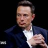 Court fines Musk website for site's brief return