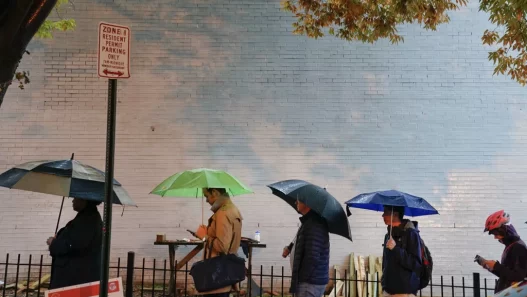 Group of unarmed civilians keep the peace at DC farmers market