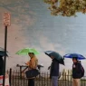 Group of unarmed civilians keep the peace at DC farmers market