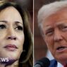 Harris and Trump set to debate in pivotal campaign test