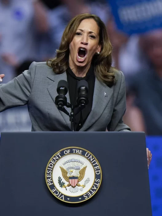 Harris is still an authoritarian gun-grabber