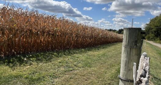 Help available for farmers impacted by drought | Ohio