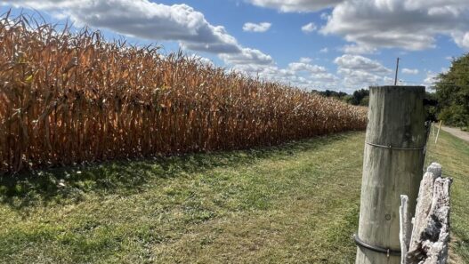 Help available for farmers impacted by drought | Ohio