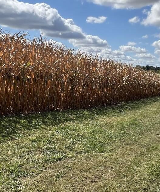 Help available for farmers impacted by drought | Ohio