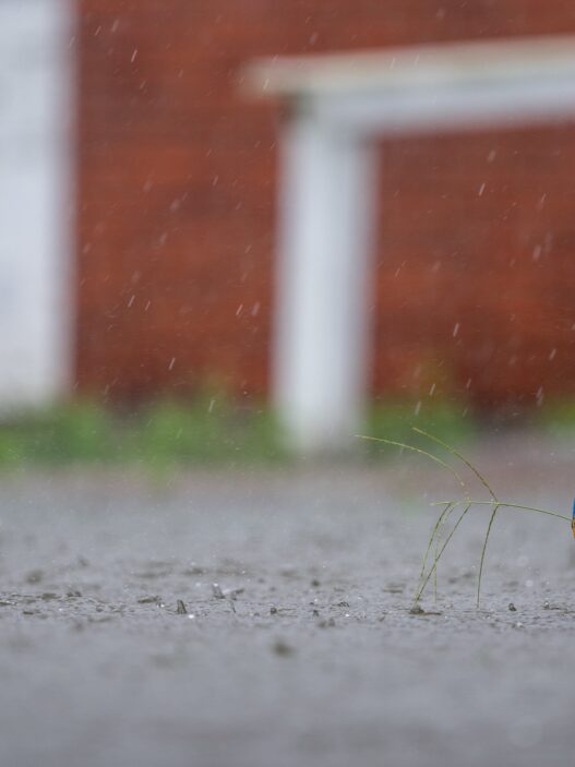 Hurricane Francine Makes Devastating Landfall Along Gulf Coast