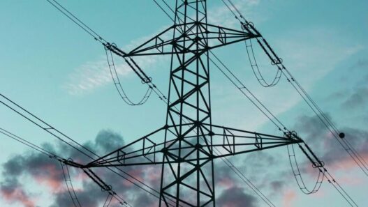 Illinois utility watchdog: Bad deals peddled by alternative electricity suppliers | Illinois