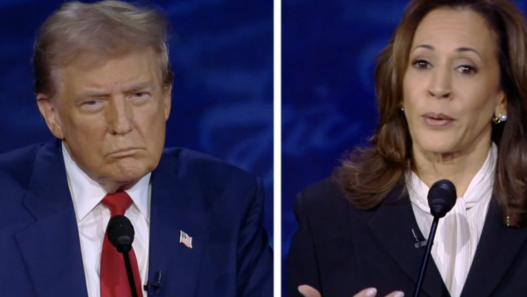 Kamala Harris, Who Boasted of Being 'Last Person in the Room' on Afghanistan Exit, Blames Trump for Botched Withdrawal