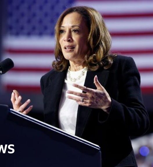 Kamala Harris gives first solo interview as Democratic nominee