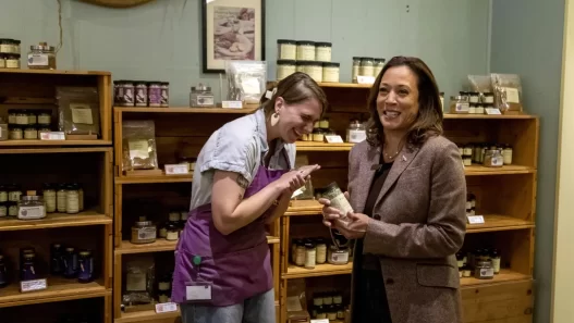 Kamala Harris’s choice: Divisiveness, spiced up