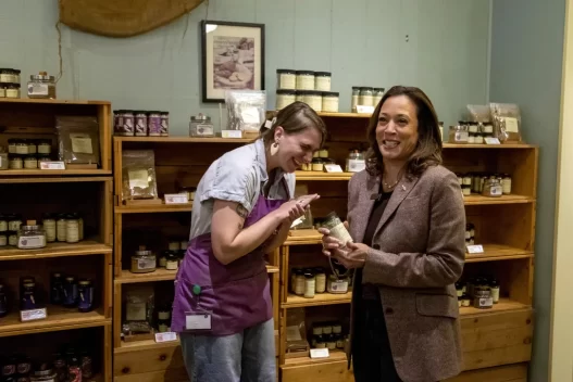 Kamala Harris’s choice: Divisiveness, spiced up