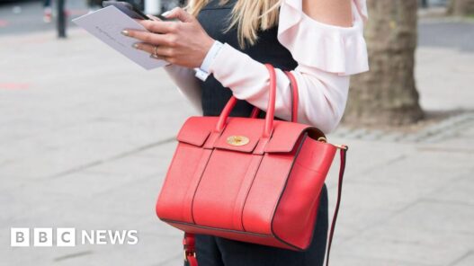 Mike Ashley's Frasers Group makes offer for handbag maker