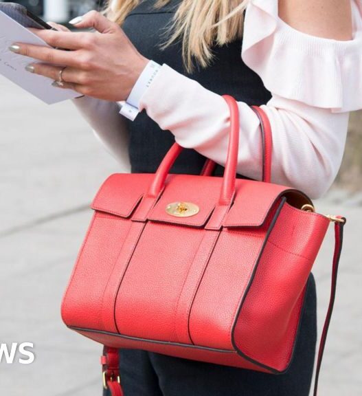 Mike Ashley's Frasers Group makes offer for handbag maker