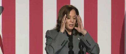 STEVE CORTES: Battleground Voters Don’t Trust Harris