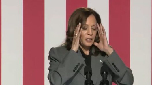 STEVE CORTES: Battleground Voters Don’t Trust Harris