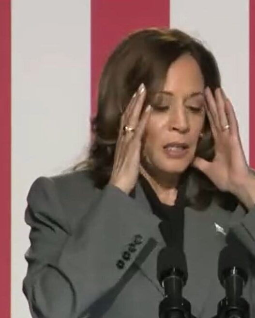 STEVE CORTES: Battleground Voters Don’t Trust Harris