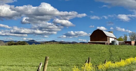 Sustained drought has impacted some of Virginia’s key crops | Virginia