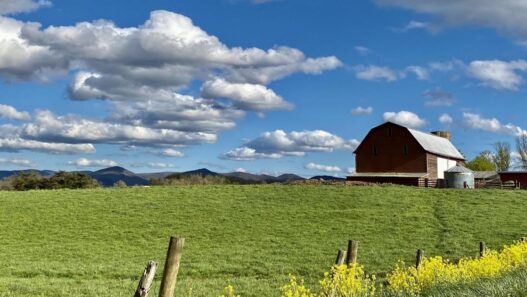 Sustained drought has impacted some of Virginia’s key crops | Virginia