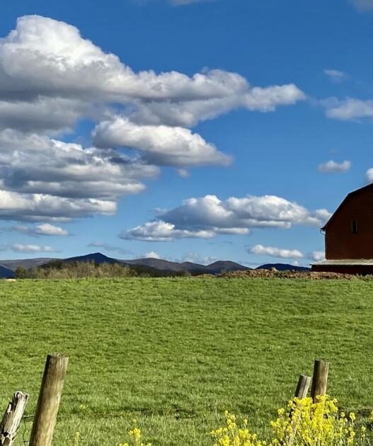 Sustained drought has impacted some of Virginia’s key crops | Virginia