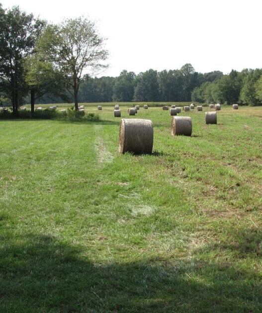 Vanishing farmland in North Carolina helped by $8.8M in grants | North Carolina