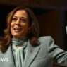 Why 'Comrade Kamala' memes are taking off among Latino exiles