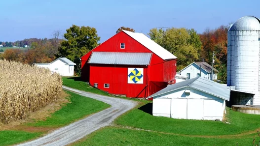 The American farmer hit hard by port strike