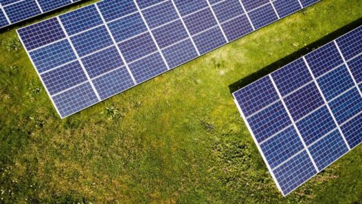 Federal, local officials fear foreign-owned solar plant could cause food insecurity | Illinois