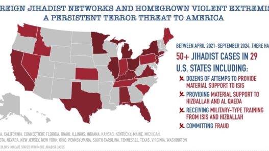 Report: More than 50 jihadist cases in 29 states show 'persistent terror threat' | National