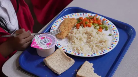 A blue plastic school dinner tray with a white plate on it with breaded fish, mixed vegetables and rice. There are also two slices of bread and a raspberry yoghurt, a girl's hand holding a fork reaches onto the tray