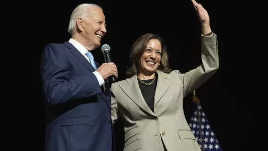 Newt Gingrich suggests Biden is trying to ‘undermine’ Harris’s campaign