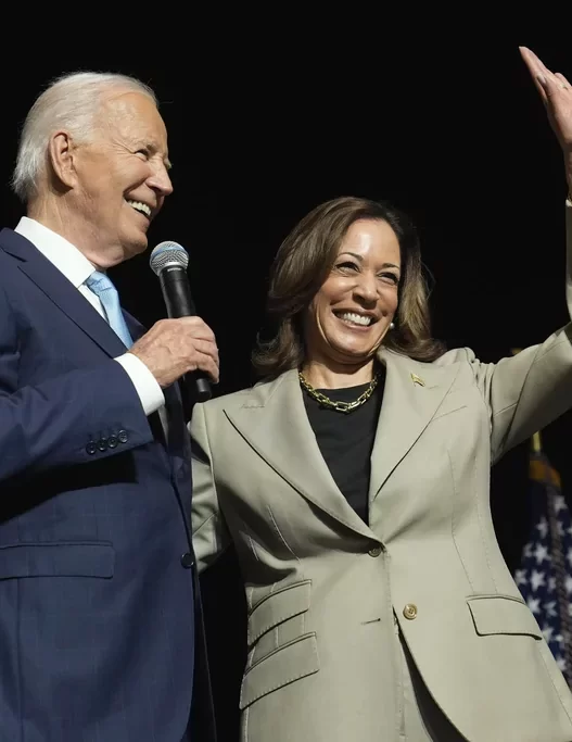 Newt Gingrich suggests Biden is trying to ‘undermine’ Harris’s campaign