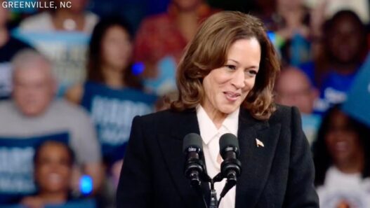 Harris loses ground with Black voters 3 weeks from Election Day | National