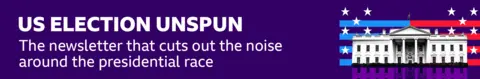 Banner saying: US election unspun: the newsletter that cuts out the noise around the presidential race 