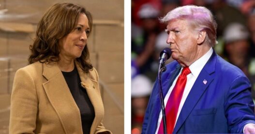 Poll: Voters split on whether Harris, Trump have shifted on policy issues | National