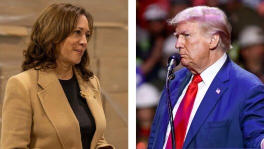 Poll: Voters split on whether Harris, Trump have shifted on policy issues | National