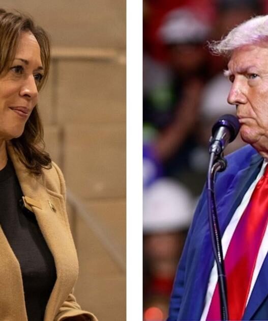 Poll: Voters split on whether Harris, Trump have shifted on policy issues | National