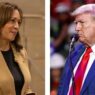 Poll: Voters split on whether Harris, Trump have shifted on policy issues | National