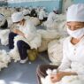 American Brands Face Retaliation From China If They Don’t Do Business In Region Known For Slave Labor